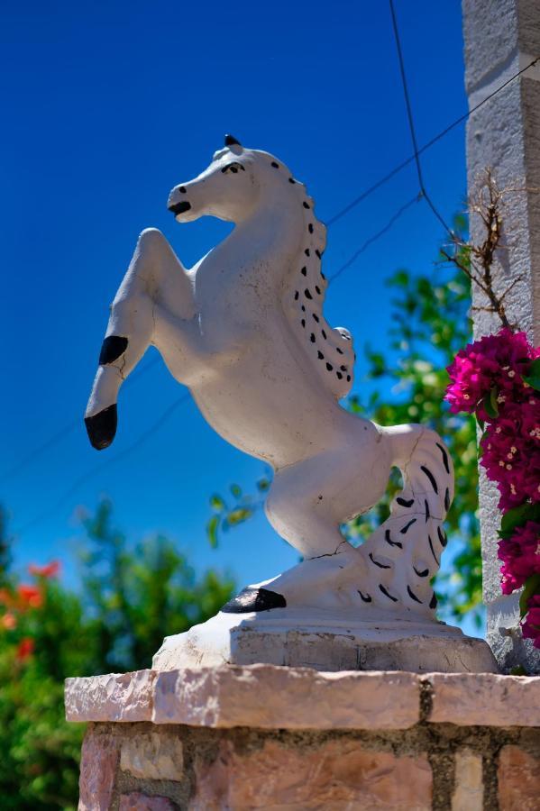 Villa Roel Saranda Dış mekan fotoğraf